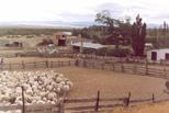 Estancia Patag�nica