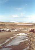 El Calafate - Foto: C. Piva