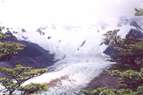 Glaciar Torre - El Chalt�n - Foto: O. Guarnaccia