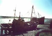 Barcos Pesqueros - Pen�nsula de Valdez - Foto: C. Piva
